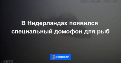 В Нидерландах появился специальный домофон для рыб - news.mail.ru - Голландия