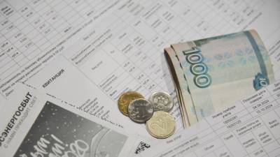 Светлана Разворотнева - В России коммунальные платежи оказались выше европейских - riafan.ru - Санкт-Петербург