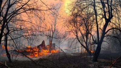 ВР усилила ответственность за нарушение требований пожарной безопасности - hubs.ua