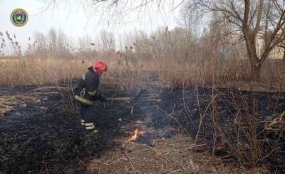 В Черкасской области за сутки произошло 13 пожаров сухой травы и камыша - lenta.ua - Черкасская обл.