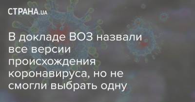 В докладе ВОЗ назвали все версии происхождения коронавируса, но не смогли выбрать одну - strana.ua - Ухань