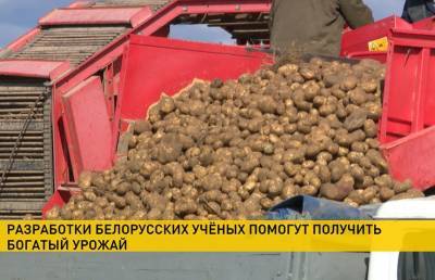 Белорусские аграрии на старте посевной - ont.by