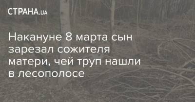 Накануне 8 марта сын зарезал сожителя матери, чей труп нашли в лесополосе - strana.ua - Киев - Киевская обл.