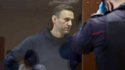 Николай Стариков - Навальный - "Никто его вытаскивать не собирается": политик Стариков о выгоде ареста Навального для его сторонников - polit.info