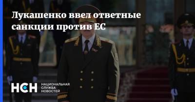 Александр Лукашенко - Светлана Тихановская - Лукашенко ввел ответные санкции против ЕС - nsn.fm - Минск