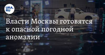 Петр Бирюков - Власти Москвы готовятся к опасной погодной аномалии - ura.news - Москва
