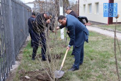 В администрации Магарамкентского района появился «Сад Памяти» - mirmol.ru - район Магарамкентский