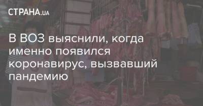 В ВОЗ выяснили, когда именно появился коронавирус, вызвавший пандемию - strana.ua - Китай - Франция - Бразилия - Ухань