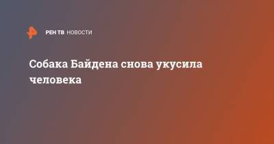 Джилл Байден - Джо Байден - Собака Байдена снова укусила человека - ren.tv