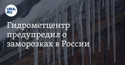 Роман Вильфанд - Гидрометцентр предупредил о заморозках в России - ura.news