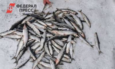 На Байкале инспекторы задержали браконьеров с омулем - fedpress.ru - Иркутск