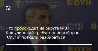 Александр Шевченко - Руслан Кошулинский - Василий Вирастюк - Что происходит на округе №87: Кошулинский требует перевыборов, "Слуги" поехали разбираться - liga.net