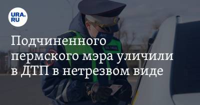 Подчиненного пермского мэра уличили в ДТП в нетрезвом виде - ura.news - Пермь - Пермский край