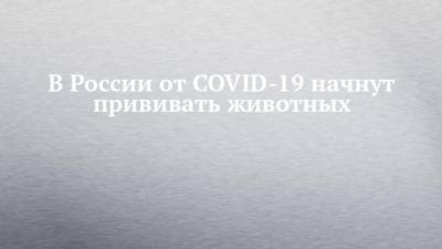 Константин Савенков - В России от COVID-19 начнут прививать животных - chelny-izvest.ru