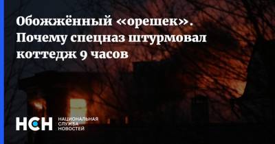 Владимир Барданов - Обожжённый «орешек». Почему спецназ штурмовал коттедж 9 часов - nsn.fm - Московская обл. - Новые Вешки, Московская обл.