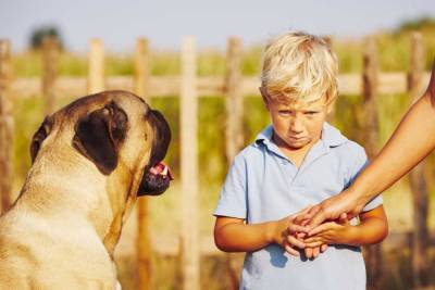 Страх ребенка перед животными: как помочь преодолеть фобию - 24tv.ua