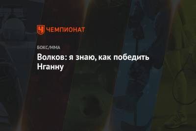 Александр Волков - Фрэнсис Нганн - Волков: я знаю, как победить Нганну - championat.com