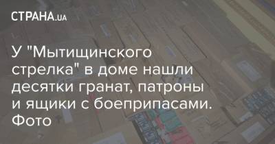 Александр Хинштейн - У "Мытищинского стрелка" в доме нашли десятки гранат, патроны и ящики с боеприпасами. Фото - strana.ua - Московская обл.