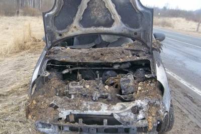 В Демидовском районе случайные свидетели и пожарные тушили загоревшийся в движении Daewoo Matiz - mk-smolensk.ru - Смоленск
