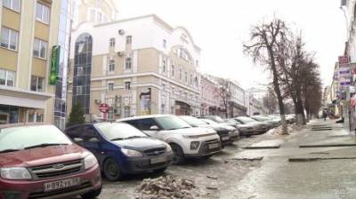 Андрей Лузгин - В центре Пензы станет меньше бесплатных парковочных мест - penzainform.ru - Пенза