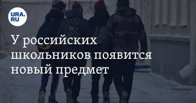 Александр Хинштейн - Российским школьникам добавят новый предмет - ura.news