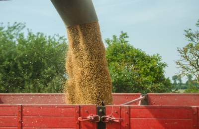 Украина отправила на экспорт более 35 млн т зерна - agroportal.ua