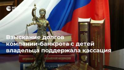 Взыскание долгов компании-банкрота с детей владельца поддержала кассация - realty.ria.ru - Москва - округ Московский