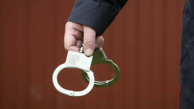 Полиция задержала предполагаемых убийц подростка в Солнечногорске - polit.info - Солнечногорск