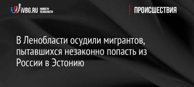 В Ленобласти осудили мигрантов, пытавшихся незаконно попасть из России в Эстонию - ivbg.ru - Ленинградская обл. - Санкт-Петербург - Эстония - Таджикистан