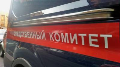 Возможных убийц студента задержали в Солнечногорске - newinform.com - Солнечногорск