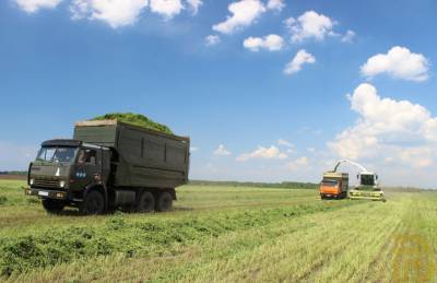 В Полтавской области на орошении будут выращивать корма для КРС - agroportal.ua - Полтавская обл.