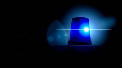 В Башкирии задержан подозреваемый в зверском убийстве 20-летней девушки - vesti.ru - Башкирия - Азербайджан
