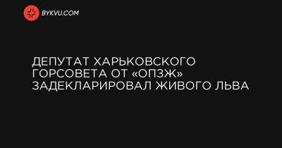 Депутат Харьковского горсовета от «ОПЗЖ» задекларировал живого льва - bykvu.com - Одесса - Харьков
