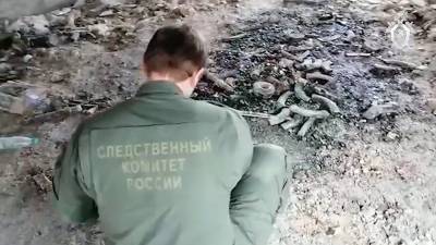 Владимир Барданов - Опубликовано видео из дома устроившего стрельбу жителя Мытищ - tvc.ru - Мытищ
