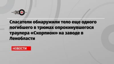 Спасатели обнаружили тело еще одного погибшего в трюмах опрокинувшегося траулера «Скорпион» на заводе в Ленобласти - echo.msk.ru - Ленинградская обл. - р-н Кировский