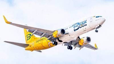 Bees Airline открыл продажи на первые 4 регулярных маршрута: сколько стоят авиабилеты - 24tv.ua - Киев - Грузия - Тбилиси - Одесса - Ереван - county Bee - Новости