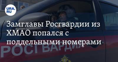 Замглавы Росгвардии из ХМАО попался с поддельными номерами - ura.news - Курганская обл. - Югра