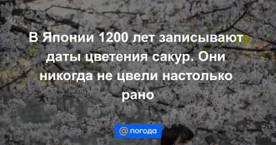В Японии 1200 лет записывают даты цветения сакур. Они никогда не цвели настолько рано - news.mail.ru - Япония