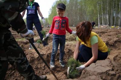 Удмуртия заняла 10-е место среди регионов России по объемам искусственного лесовосстановления - gorodglazov.com - Россия - Красноярский край - Иркутская обл. - Ленинградская обл. - Вологодская обл. - Тверская обл. - респ. Удмуртия - Ижевск