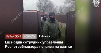 Еще один сотрудник управления Роспотребнадзора попался на взятке - kubnews.ru - Краснодарский край