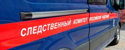 Анастасий Кулешов - В Новосибирской области возбудили дело против полицейского после игнорирования вызова об убийстве - runews24.ru - Новосибирская обл. - Бердск