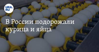 Дмитрий Леонов - В России подорожали курица и яйца - ura.news - Москва