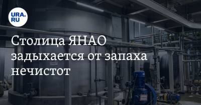 Столица ЯНАО задыхается от запаха нечистот - ura.news - Салехард - окр. Янао