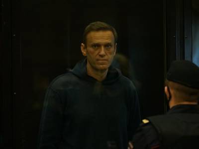 Алексей Навальный - Во ФСИН пояснили, за что Навальный получил выговоры - rosbalt.ru - Владимирская обл.