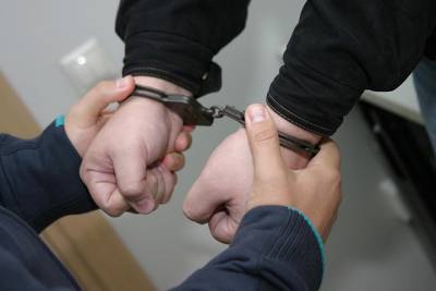 Подозреваемых в убийстве подростка задержали в Солнечногорске - vm.ru - Солнечногорск