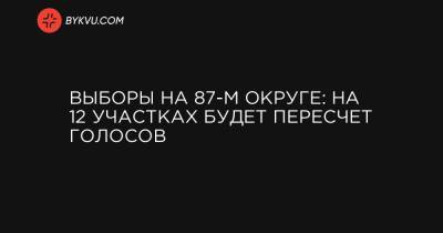 Василий Вирастюк - Выборы на 87-м округе: на 12 участках будет пересчет голосов - bykvu.com - Ивано-Франковская обл.