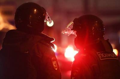 Мужчина, ударивший на акции в Москве полицейского, получил год колонии - aif.ru - Москва