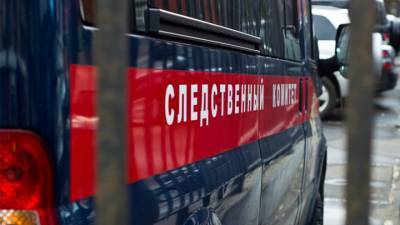 По факту смерти 5-летнего ребенка в Питере заведено уголовное дело - vesti.ru - Санкт-Петербург