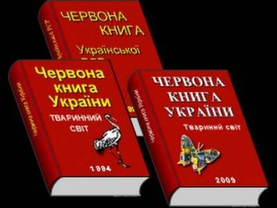 В Украине увеличилось количество видов животных, которым угрожает исчезновение - lenta.ua - Украина