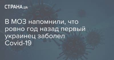 Владимир Зеленский - Максим Степанов - В МОЗ напомнили, что ровно год назад первый украинец заболел Covid-19 - strana.ua - Англия